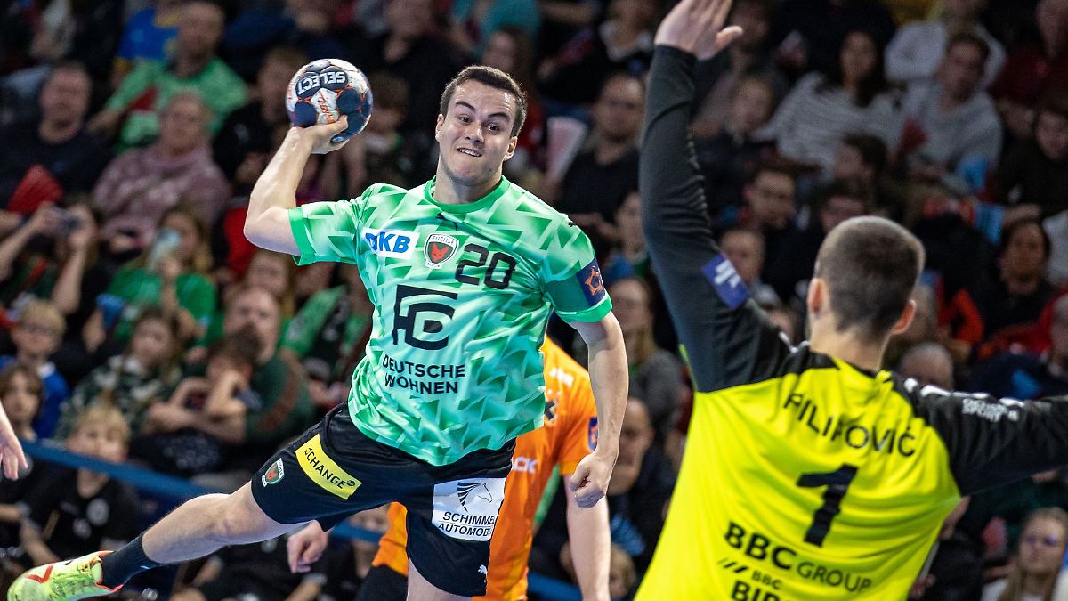 Berlin & Brandenburg: Füchse mit Respekt vor Kiel: 