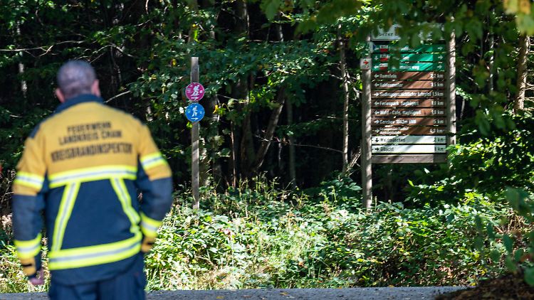 Die achtjährige Julia harrte mehr als 40 Stunden in dem Wald aus.