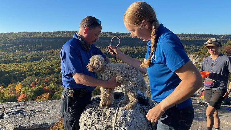 Wieder an der Oberfläche: Hund "Liza".
