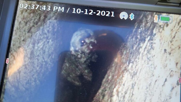 Dank einer Kamera hatten die Helfer "Liza" immer im Blick.