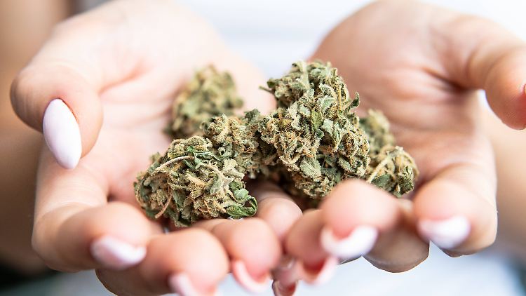 Möglich, dass in Deutschland nach einer Legalisierung öfter Jointschwaden von Balkonen, aus Raucherbereichen und durch Parks wabern - schließlich müssten sich Konsumenten nicht mehr verstecken. 