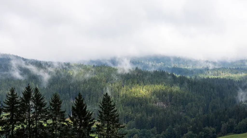 In-der-Gemeinde-Feldberg-ist-eine-Frau-beim-Wandern-bewusstlos-zusammengebrochen-Symbolbild