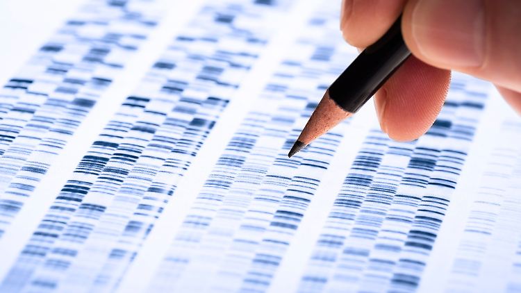Bei Gen-Sequenzierungen finden Wissenschaftler mehr und mehr Omikron-Fälle in Deutschland.