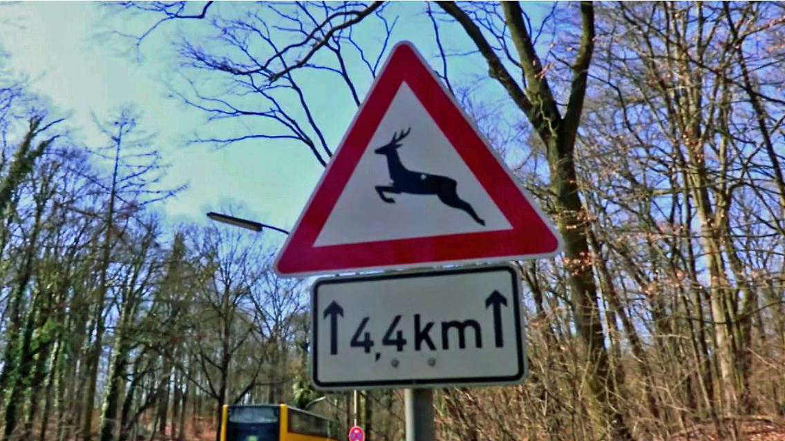 wildwechsel.jpg