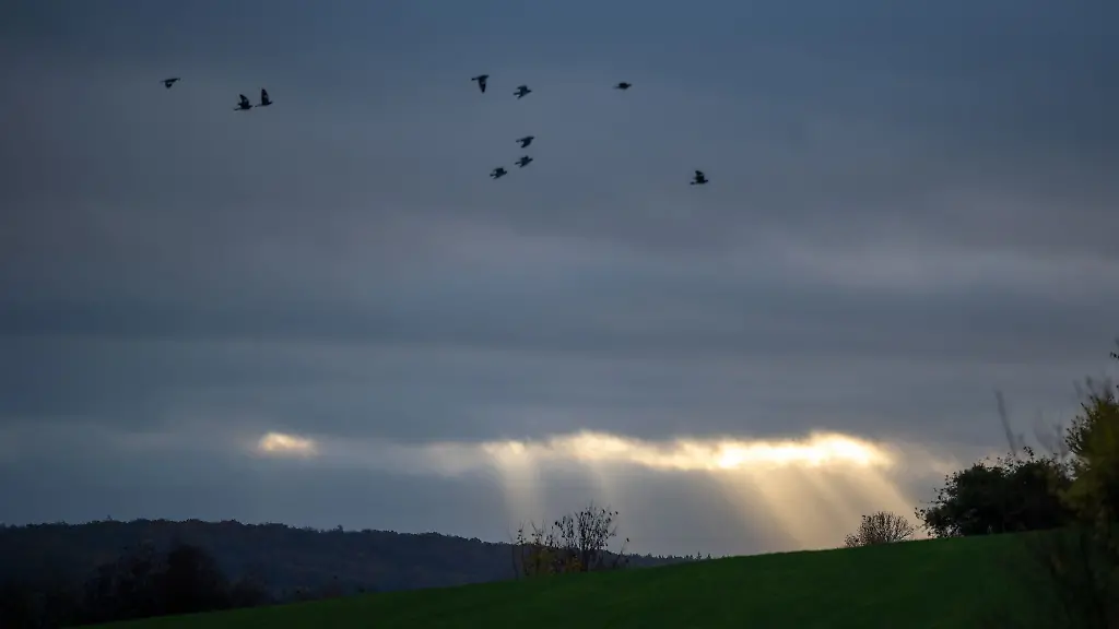 In-Rheinland-Pfalz-und-im-Saarland-wechseln-sich-zum-Ende-der-Woche-Wolken-Spruehregen-und-Sonne-ab-am-Sonntag-soll-es-vermehrt-Sonnenschein-geben