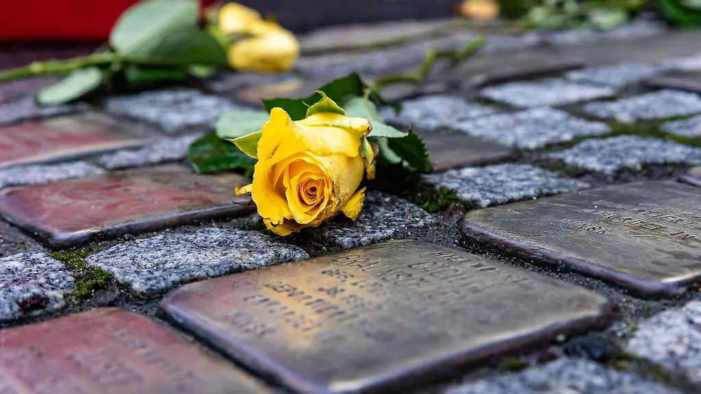 In-Zeitz-sollen-die-Stolpersteine-wieder-eingesetzt-werden