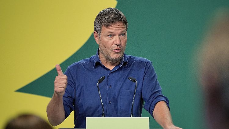 Will das Finanzministerium in grüner Hand sehen: Grünen-Co-Chef Robert Habeck.