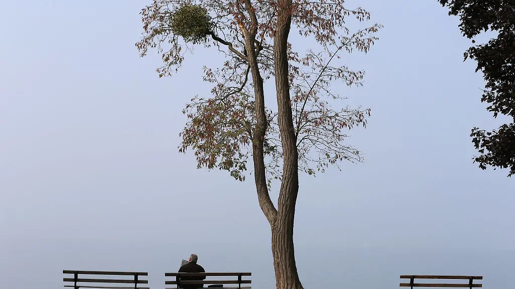 Die-Menschen-in-NRW-muessen-sich-in-den-naechsten-Tagen-auf-Nebel-und-Wolken-einstellen