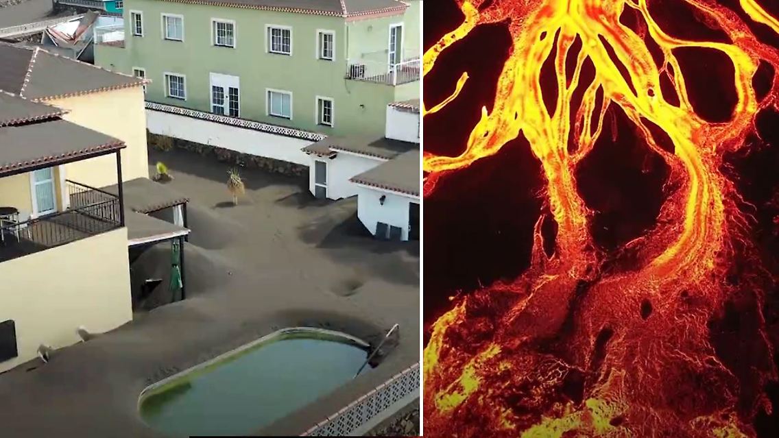 La Palma Collage.jpg