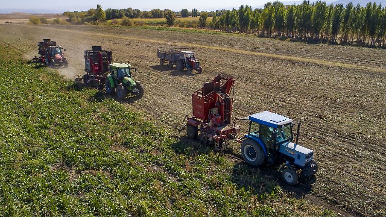 Für die ökologisch orientierten Landwirte präsentiert die künftige Ampel-Regierung noch kein ansprechendes Programm.
