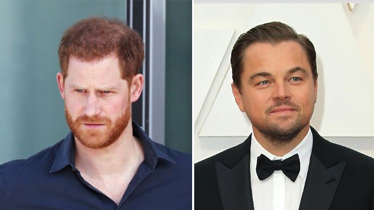 Leonardo DiCaprio (r.) schloss sich einem Aufruf von Prinz Harry an.