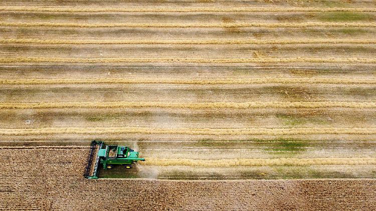 Kann regenerative Landwirtschaft helfen, den Klimawandel zu stoppen?