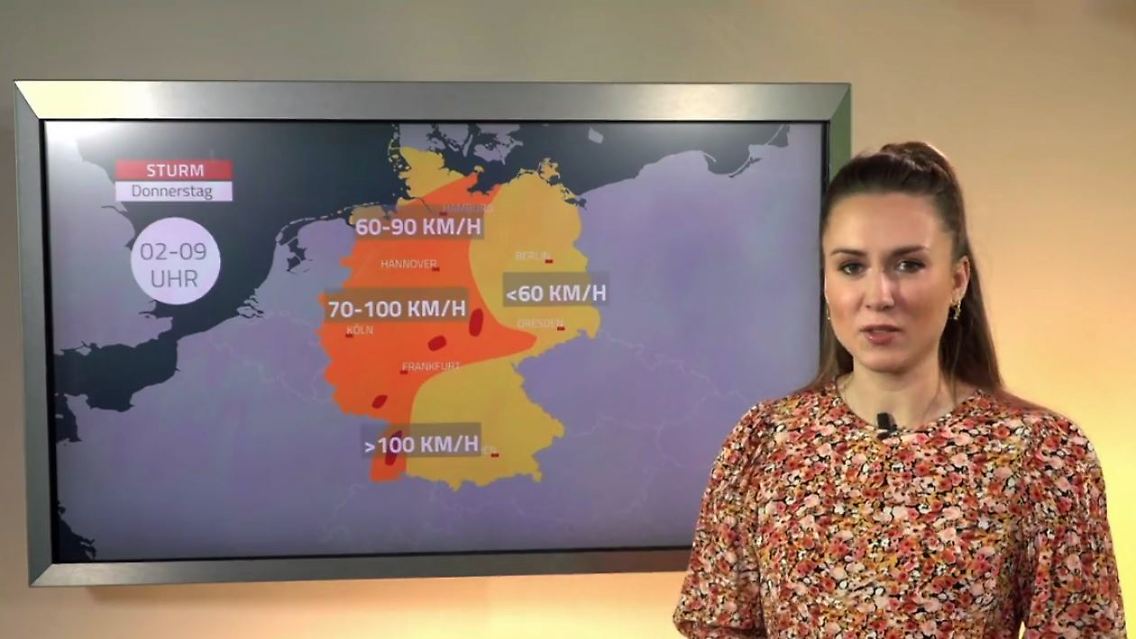 Ignatz_Wetterbericht.JPG