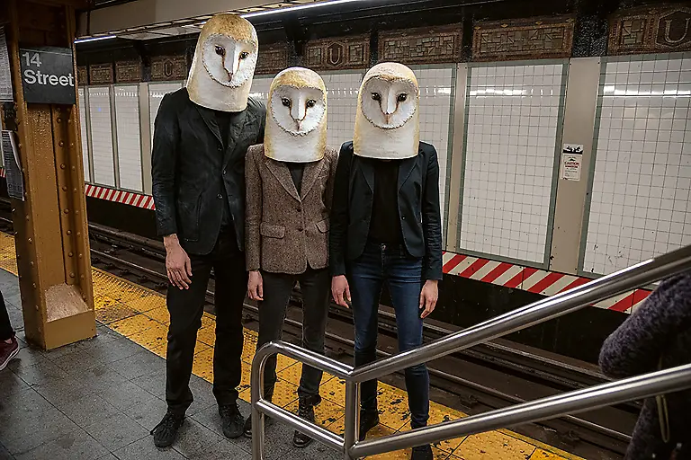 Three-Owls