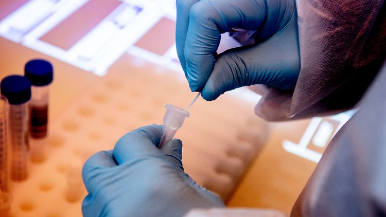 In Großbritannien ist AY.4.2 derzeit für sechs Prozent der sequenzierten Coronavirus-Proben verantwortlich.  