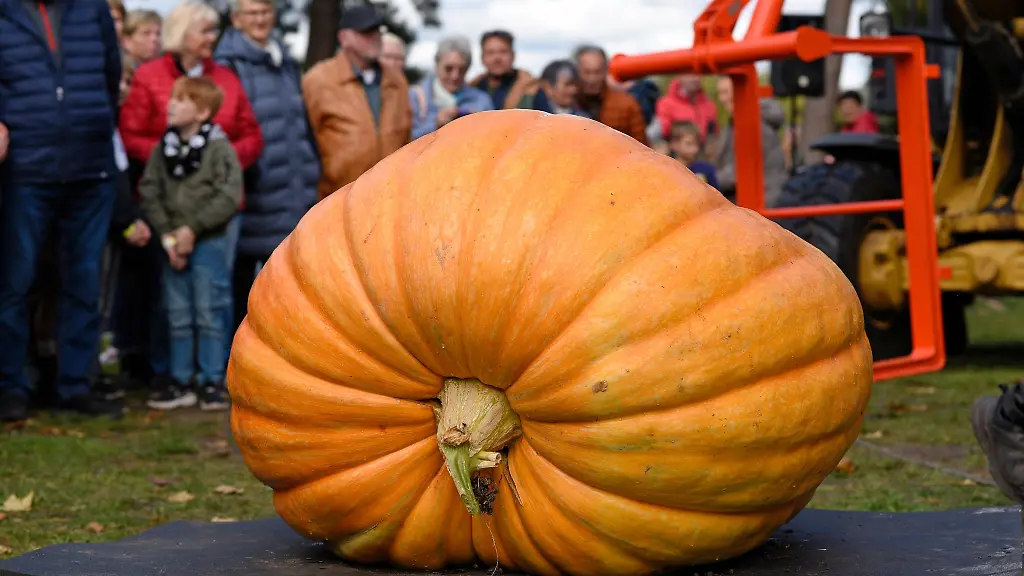 An-Halloween-ist-der-Kuerbis-besonders-beliebt