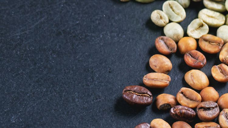 Auf dem Weg zum koffeinfreien Kaffee: Der Prozess der Entkoffeinierung beginnt mit noch ungerösteten Bohnen.