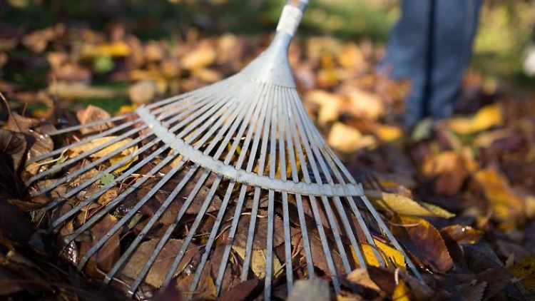 Herabfallendes Laub muss von einigen Stellen im Garten entfernt werden.