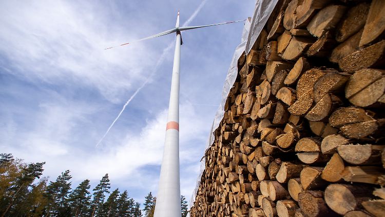 Auf Basis einer Analyse der OECD wird es 2022 deutliche Fortschritte bei den Zahlungen geben.
