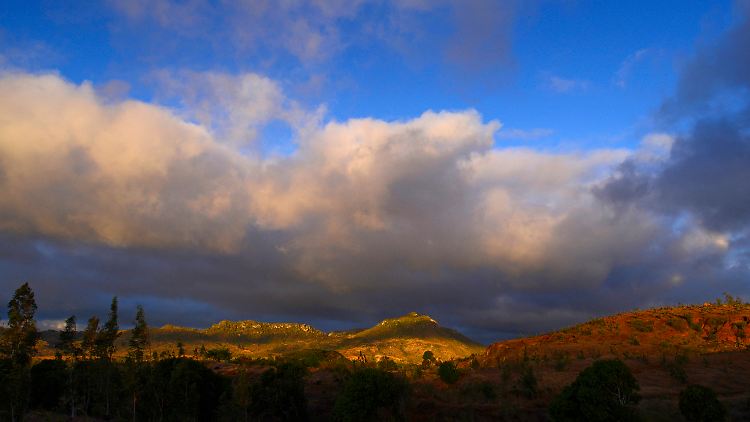 Gerodeter Regenwald auf Madagaskar: Wer hat Schuld am Klimawandel? Banken und Vermögensverwalter könnten Einfluss nehmen, viele tun es aber nicht.