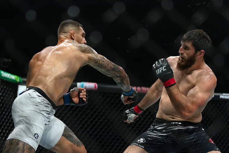 447ab22c740718ba2ef2614b8d8ff6cc