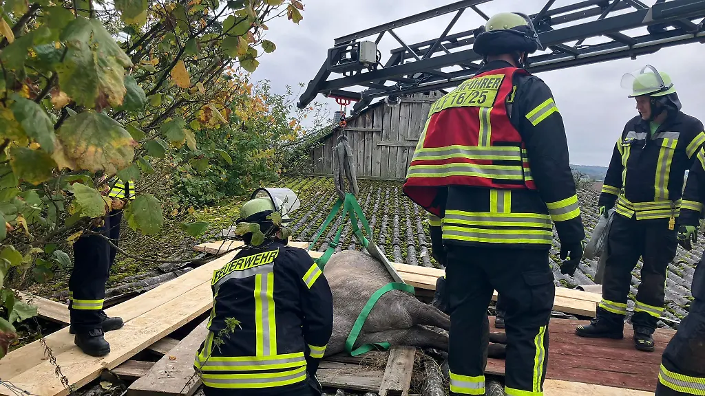 Das-verunglueckte-Pferd-musste-mit-Hilfe-einer-Drehleiter-gerettet-werden