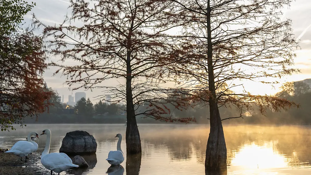Der-Wetterdienst-erwartet-am-Samstag-einen-sonnigen-Tag-in-Hessen