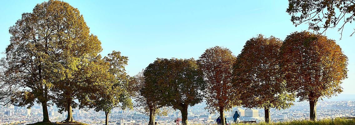imago0140155395h.jpg