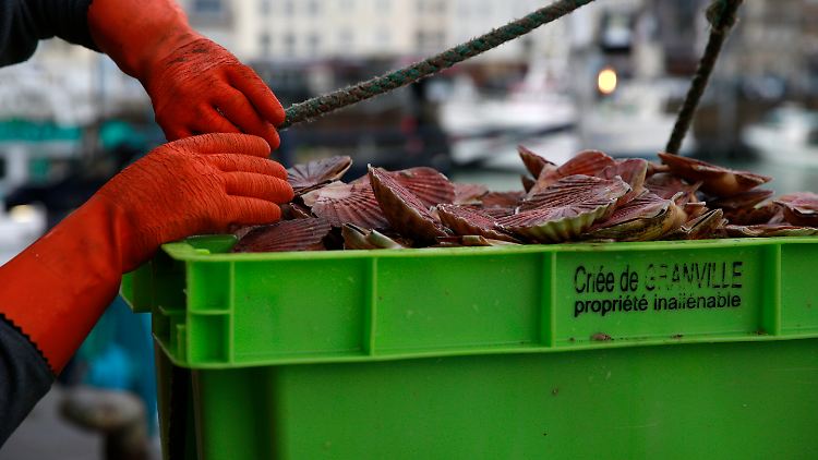 Frankreich wirft den britischen Behörden vor, zu wenige Fanggenehmigungen für französische Schiffe zu erteilen.