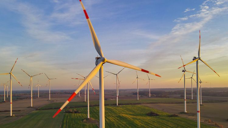 In den ersten neun Monaten des Jahres gehen in Deutschland 345 Windenergieanlagen an den Start. Das sind deutlich mehr als im Vergleichszeitraum 2020.