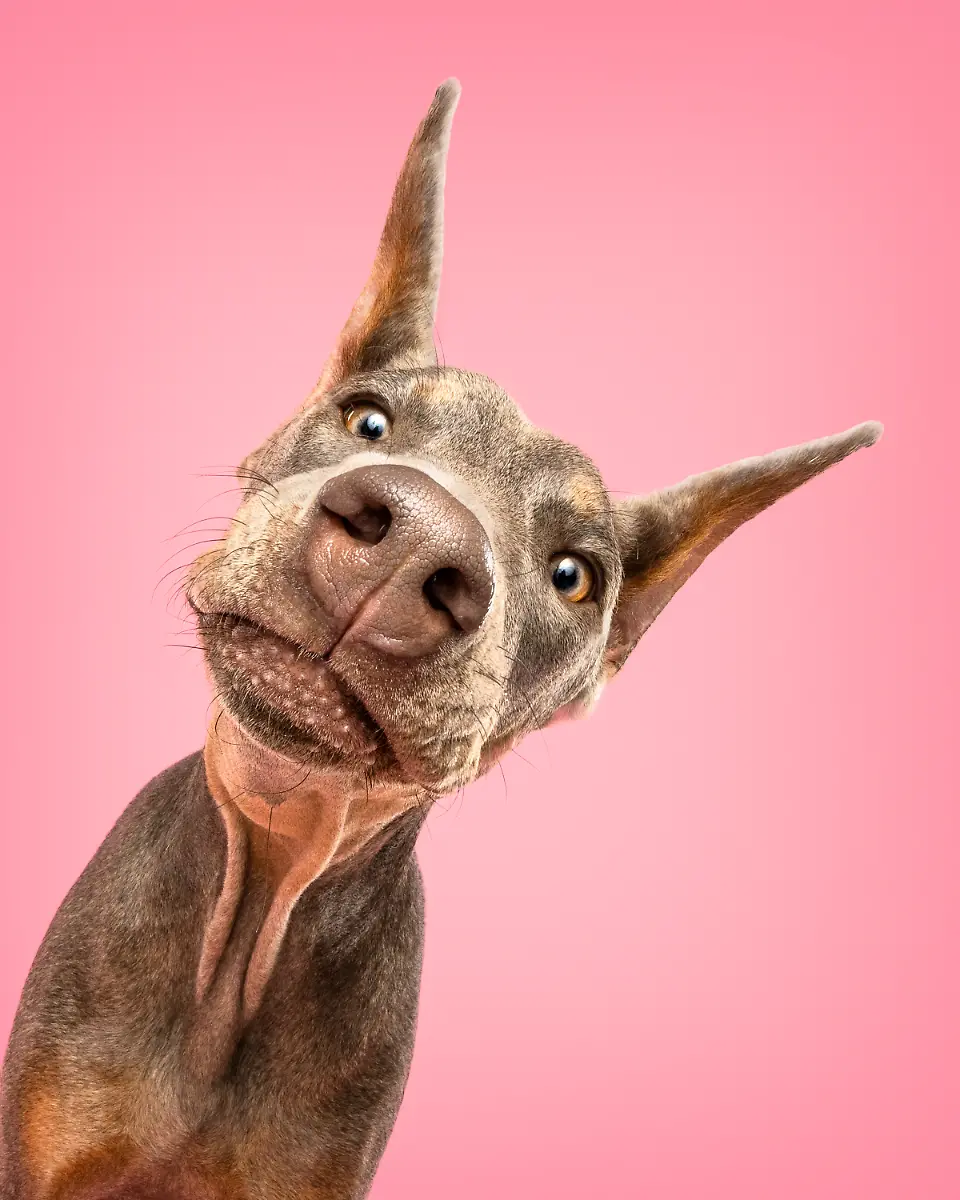 759e10f0-6643-11ef-8e88-fdc07e80387f