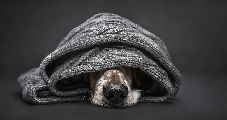 c32a53d0-4e86-11ef-8a2a-63e2e72e3f80