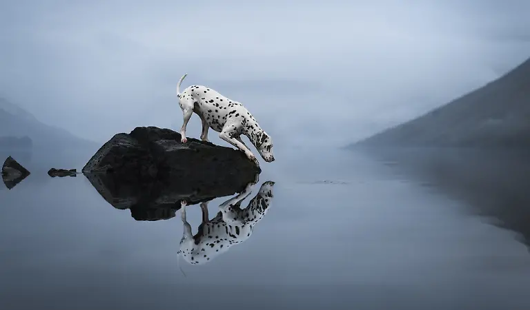 d1461b30-6e01-11ef-99ea-8d8b083a3cee