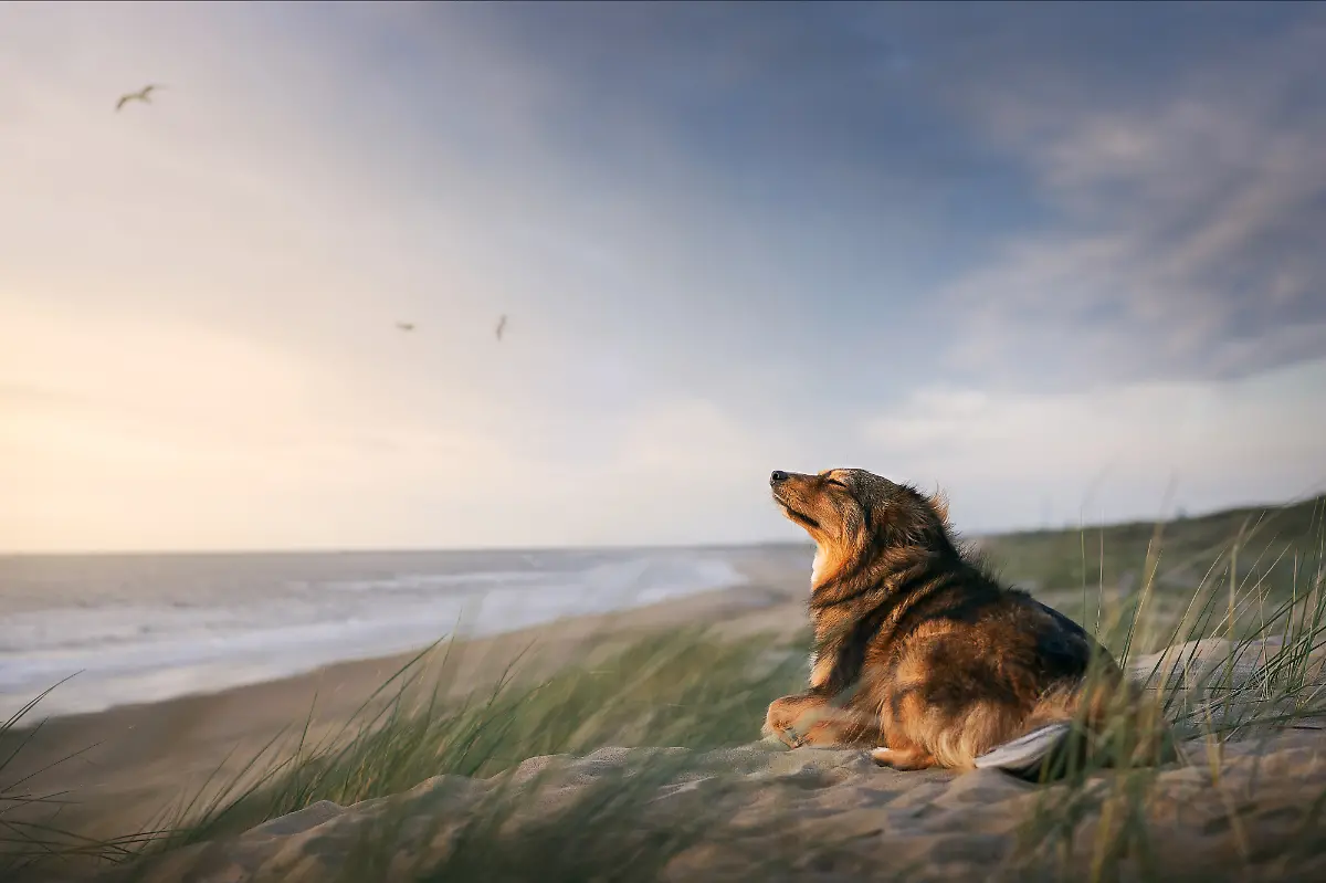 d5d13820-689c-11ef-aa91-e1e9b593f10b