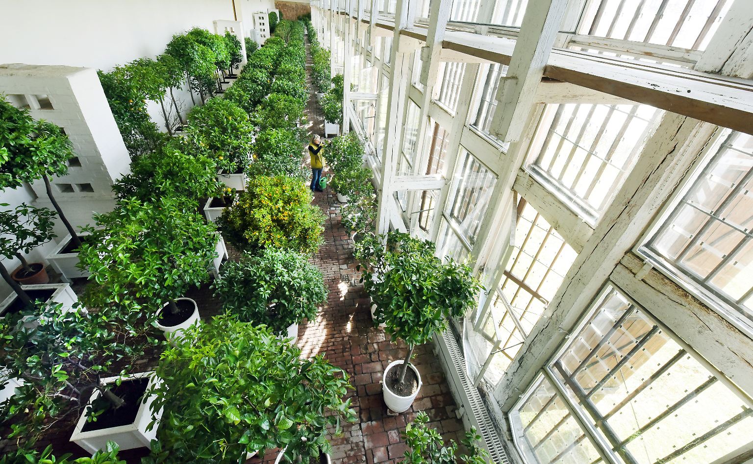 Zunutze gemacht haben sich die Menschen den Treibhauseffekt schon, bevor sie ihn verstanden. So wurden in Europa im Zeitalter des Barock Orangerien und Gewächshäuser gebaut, …