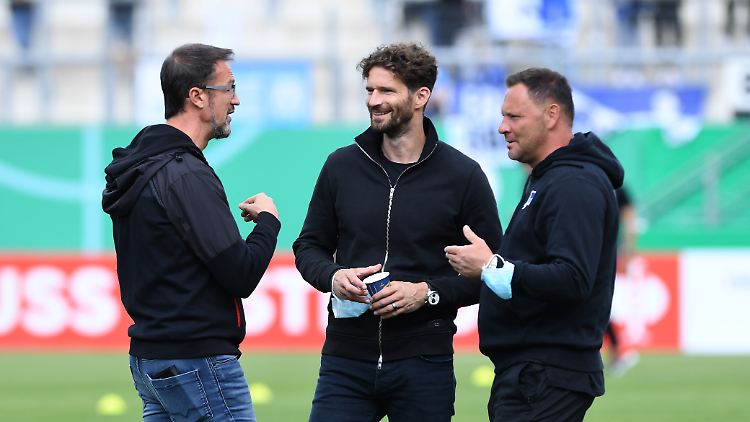 Haben einiges zu bereden: Fredi Bobic, Arne Friedrich und Pal Dardai.