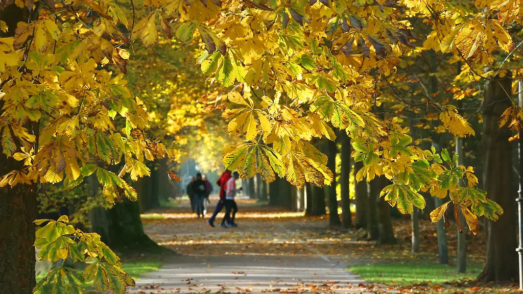 Die-Menschen-in-Berlin-und-Brandenburg-koennen-sich-auf-goldene-Herbsttage-freuen-Es-wird-sonnig-mild-und-trocken