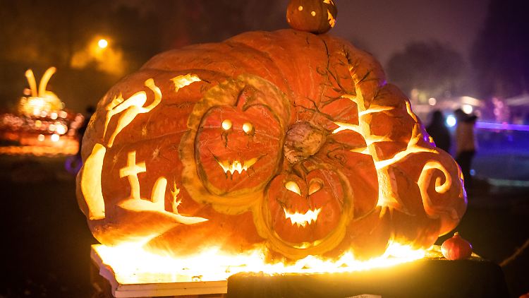 Ende September brachte dieser Kürbis noch stolze 1226 Kilogramm auf die Waage.