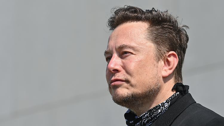 Elon Musk hat 62,5 Millionen Follower auf Twitter.