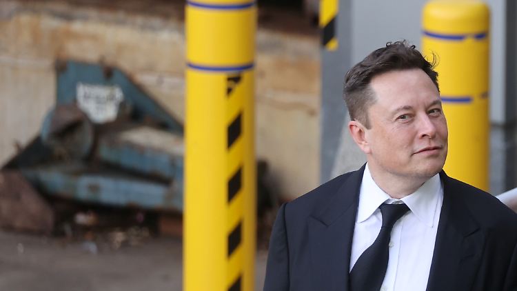 Musk hat versprochen, das Votum der Twitter-User zu befolgen. 