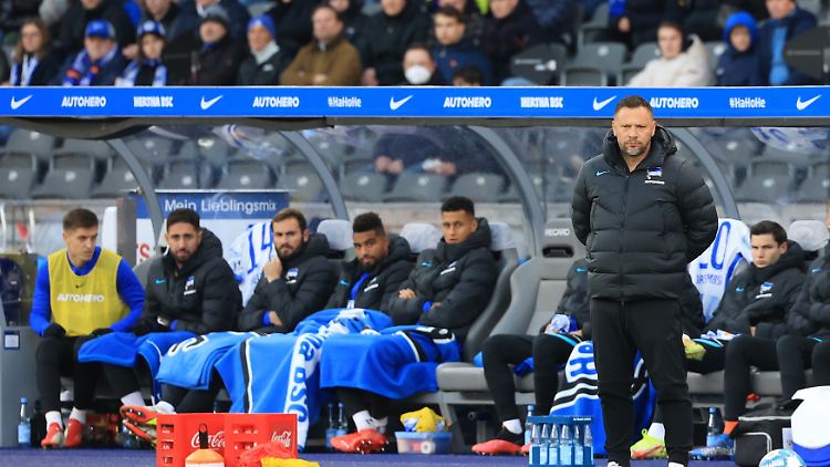 Kennt den Rasen des Olympiastadions sehr gut: Pal Dardai.