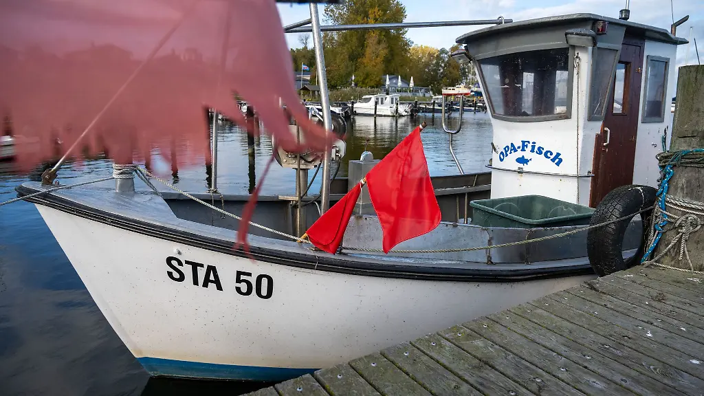 Fischer-machen-sich-angesichts-Vorschlaegen-der-EU-Kommission-Sorgen-um-noch-bestehende-Ausnahmen-die-ihnen-den-Heringsfang-ermoeglichen