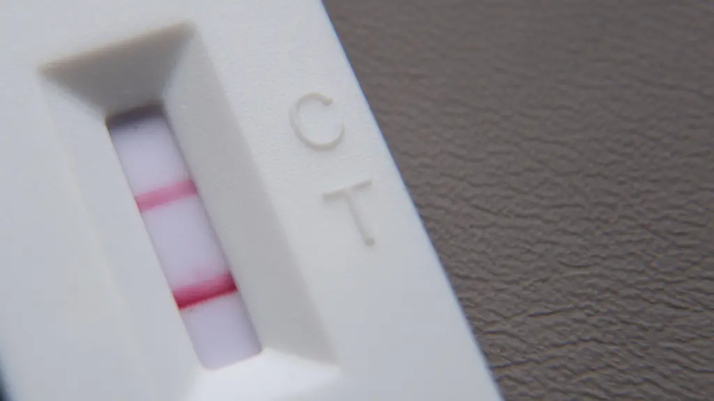 0d253ef95c447b88364eaf0137c8c2e6