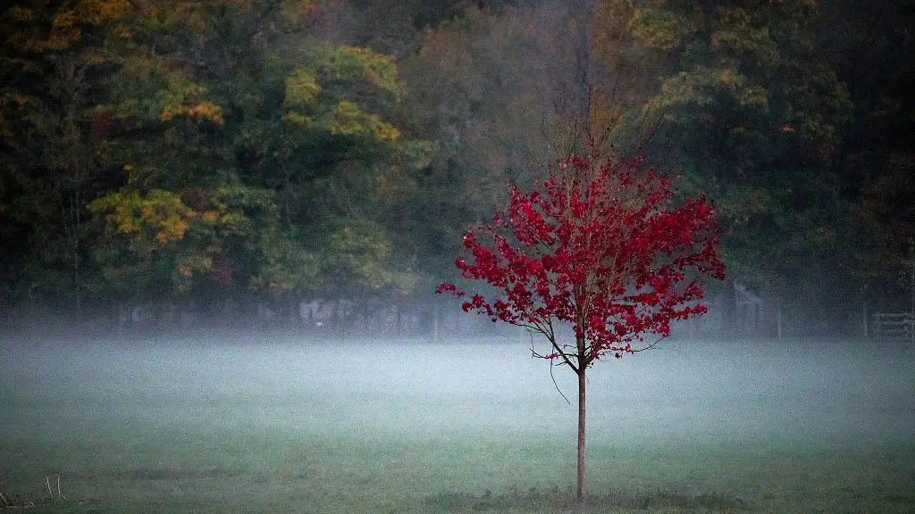 Nebel-und-Hochnebel-aber-auch-fuer-den-Herbst-recht-hohe-Temperaturen-erwartet-der-Deutsche-Wetterdienst-fuer-die-kommenden-Tage-in-Bayern