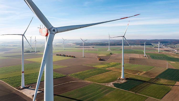 Windräder müssen nicht nur auf Feldern stehen, sie können auch in Wälder oder Landschaftsschutzgebiete gebaut werden.