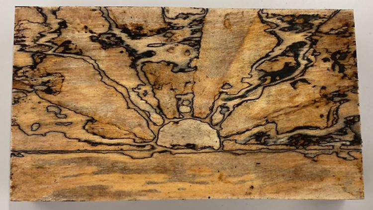 In einem speziell entwickelten Verfahren ist es dem Team der EMPA gelungen, den Marmorierungsprozess verschiedener Holzarten zu steuern und so Bilder wie einen Sonnenuntergang im Holz zu erzeugen.
