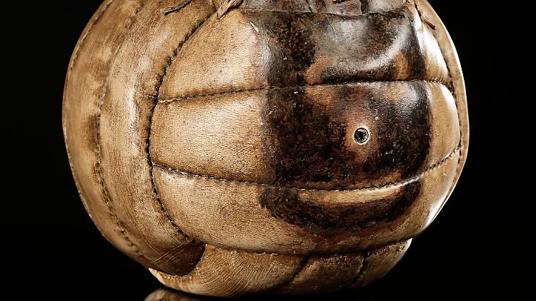 Hat ein neues Zuhause: "Wilson".