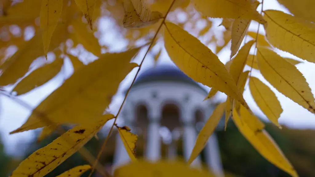 Mit-Temperaturen-um-die-20-Grad-bleibt-es-zunaechst-mild-in-Hessen-Symbolbild