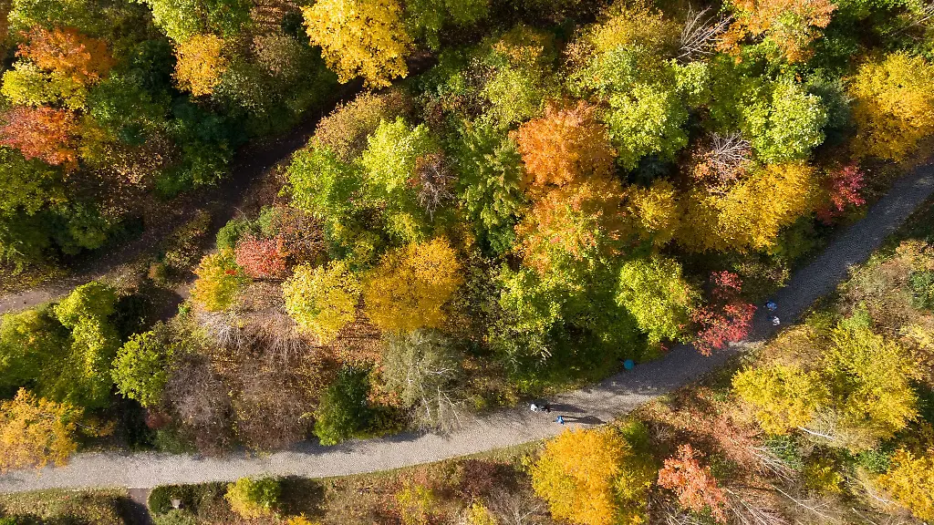 Am-Wochenende-stehen-goldene-Oktobertage-bevor