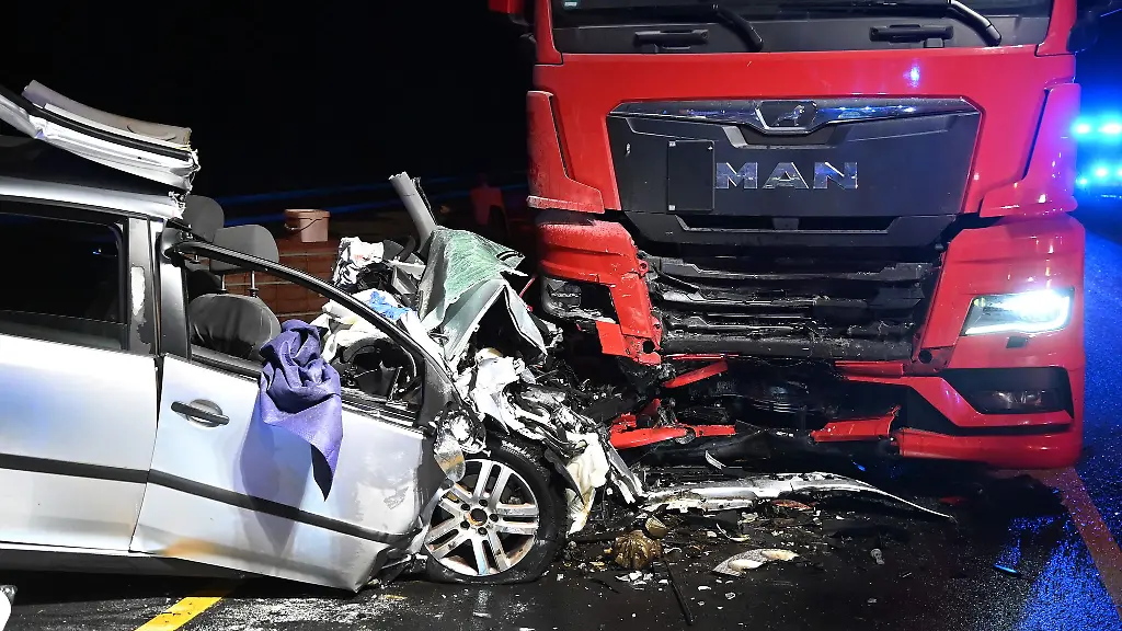 Der-Autofahrer-und-sein-Hund-ueberlebten-den-Aufprall-nicht